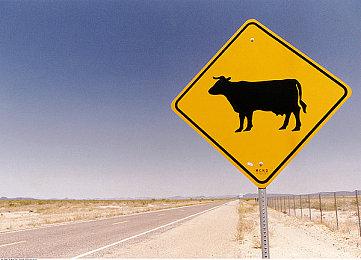 CRPG《New Arc Line》Steam页面上线 2024年发售